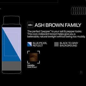 05 - Redken-2023-SEQBI-Silver-Strong-Social-Infographic-Silver-Gray-Availability-Ash-Brown